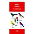 Waterford Press Iowa Birds Book: An Introduction to Familiar Species WFP1583551462